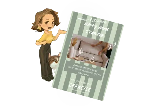 CéFacile - Tri et organisation d'espaces