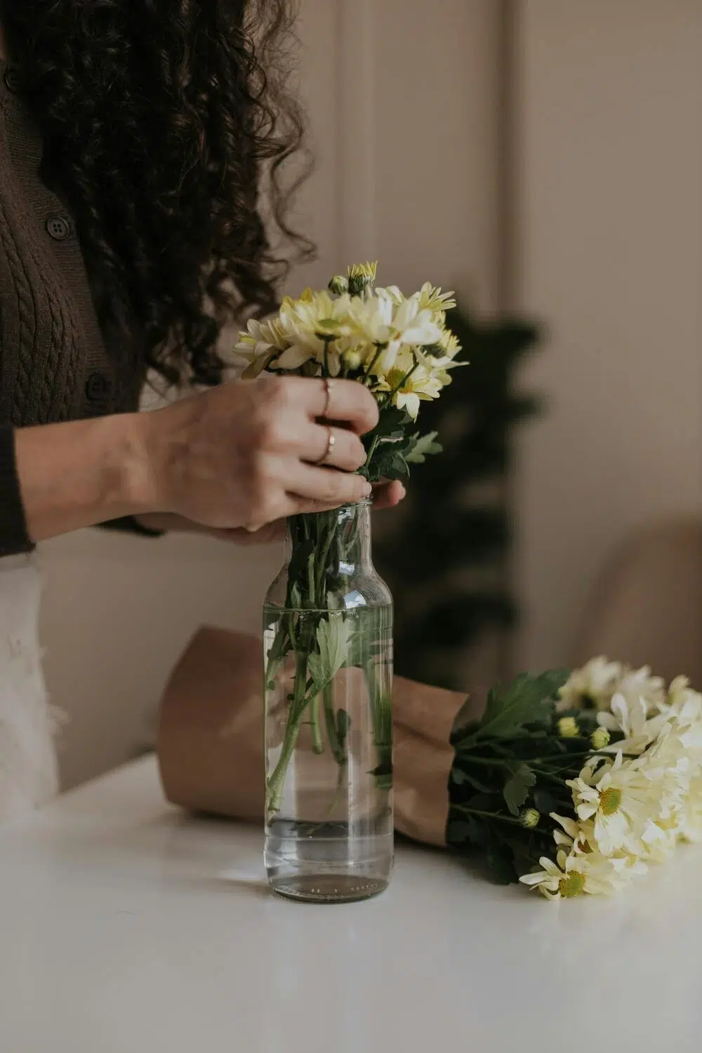 CéFacile - Tri et organisation d'espaces