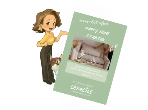 CéFacile - Tri et organisation d'espaces